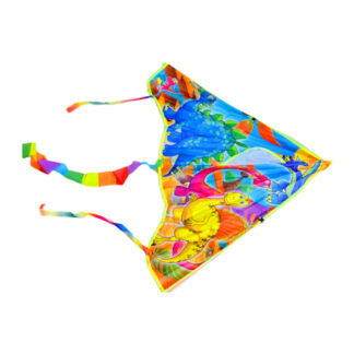 Повітряний змій C 40023  90х50см, хвіст 95см