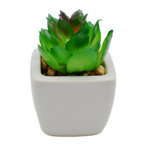 Рослина штучна в горщику Білому 8см Сукулент