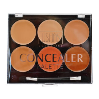 Консилер USHAS палетка 6-кольорів арт.CBC056 *12