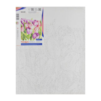 Ранкові тюльпани © Karolina Bundash