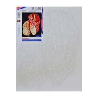 Антуріум © Anastasiia Osmolovska