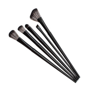 Пензлик д/макіяжу Y&P Beauty Набір 5шт арт.101-A05 *12