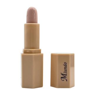 Консилер-помада Mlundo Make Up For Ever арт.GZ8130033 (H020) *24